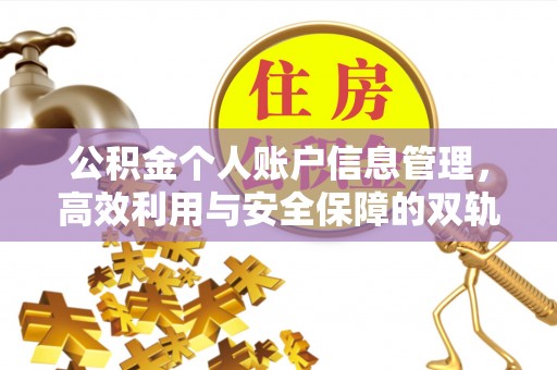 绍兴公积金个人账户信息管理，高效利用与安全保障的双轨并行