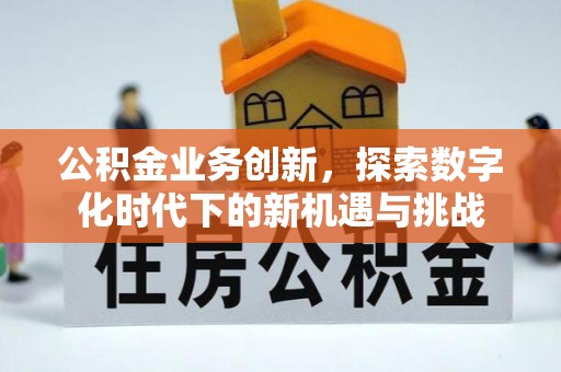 绍兴公积金业务创新，探索数字化时代下的新机遇与挑战
