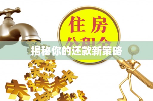 绍兴揭秘你的还款新策略