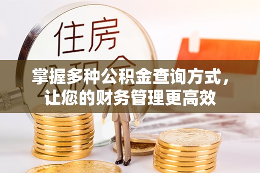 绍兴掌握多种公积金查询方式，让您的财务管理更高效