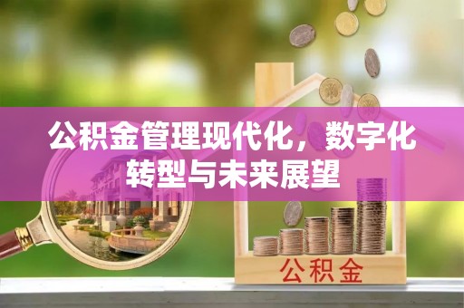 绍兴公积金管理现代化，数字化转型与未来展望