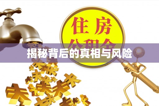 绍兴揭秘背后的真相与风险