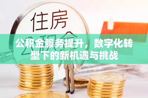 绍兴公积金服务提升，数字化转型下的新机遇与挑战