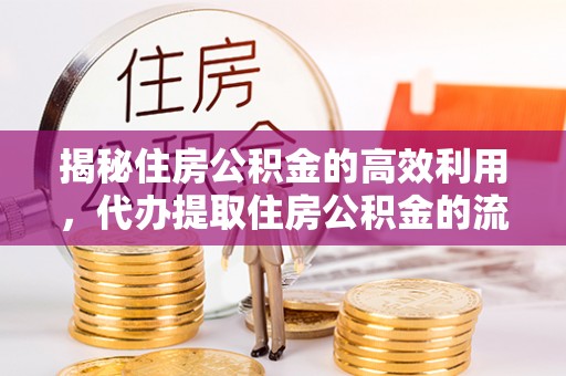 绍兴揭秘住房公积金的高效利用，代办提取住房公积金的流程与技巧