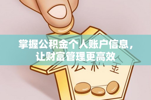 绍兴掌握公积金个人账户信息，让财富管理更高效