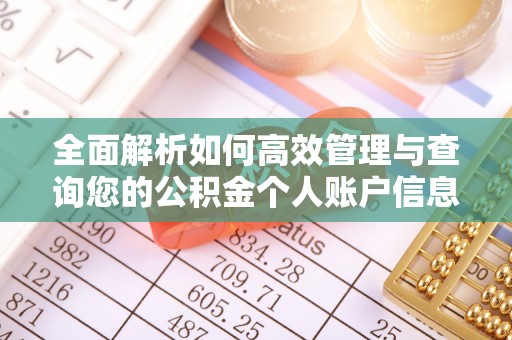 绍兴全面解析如何高效管理与查询您的公积金个人账户信息