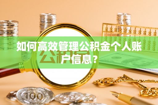 绍兴如何高效管理公积金个人账户信息？