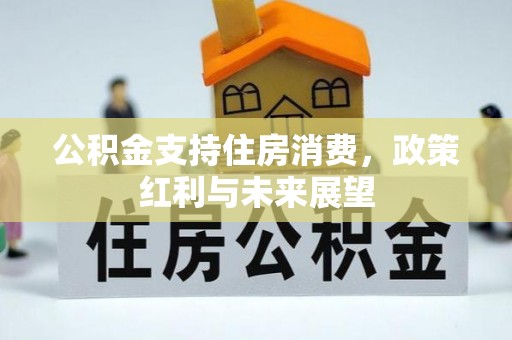 绍兴公积金支持住房消费，政策红利与未来展望