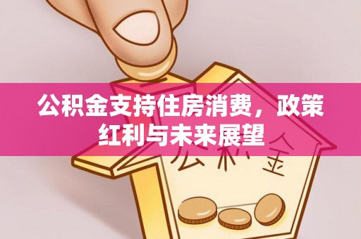 绍兴公积金支持住房消费，政策红利与未来展望