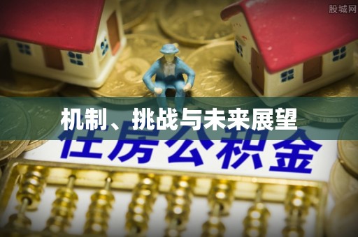 绍兴机制、挑战与未来展望