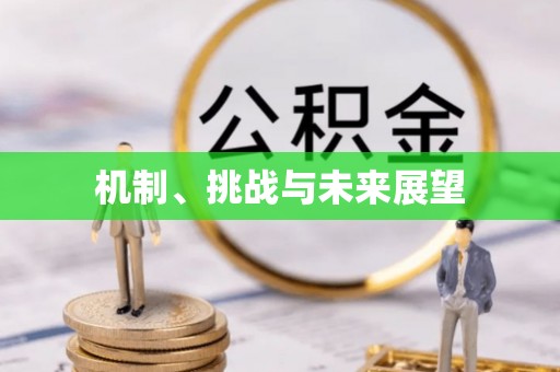 绍兴机制、挑战与未来展望