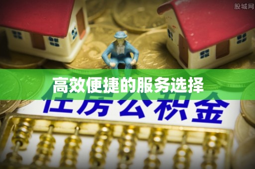 绍兴高效便捷的服务选择